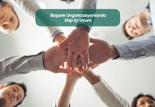 Ekip içi uyum